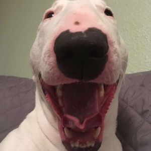 Meet your Posher, Aiden